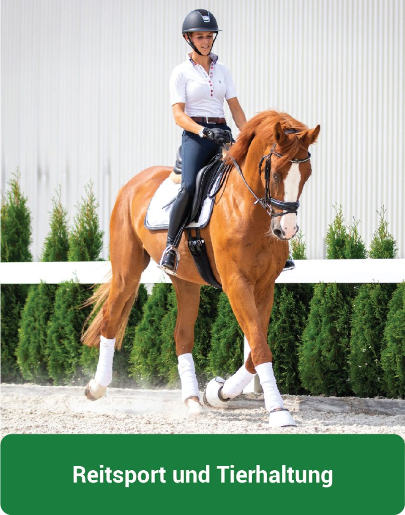 Reitplatz mit TTE® MultidrainPLUS als drainierende Bodenbefestigung für Reitsport und Tierhaltung.