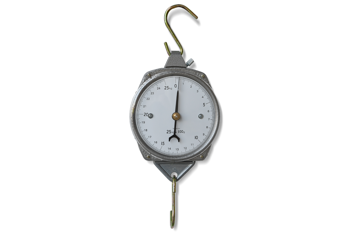 Zeiger-Federwaage Standard